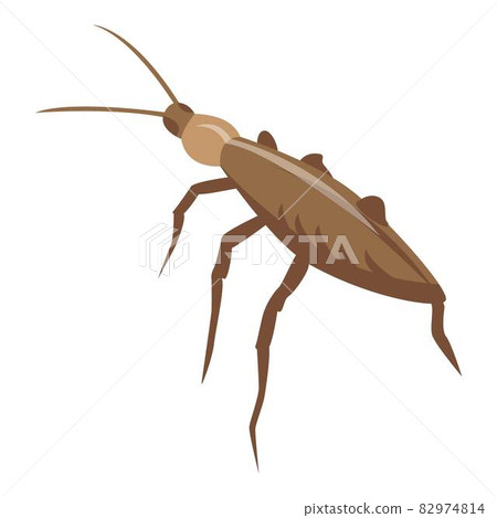 Pest cockroach icon, isometric style Pest cockroach icon, isometric style 82974814