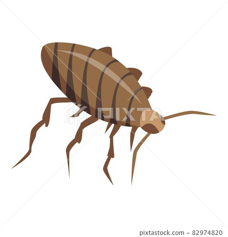 Cockroach insect icon, isometric style Cockroach insect icon, isometric style 82974820