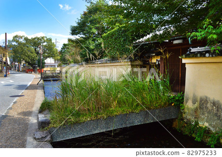 初秋中午散步的京都市北區上賀茂神社鎮,安靜清爽 初秋中午散步的京都市北區上賀茂神社鎮,安靜清爽 82975233