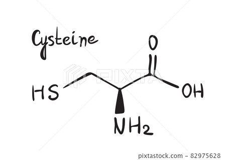 Cysteine Chemistry Molecule Formula Hand Drawn Imitation 82975628