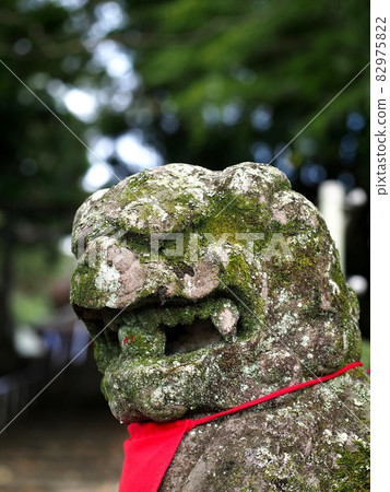 Close-up of the face of a guardian dog (Ishitate Hachimangu) Close-up of the face of a guardian dog (Ishitate Hachimangu) 82975822