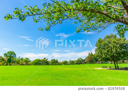 戶田川公園、農業文化公園、綠意盎然的廣闊草坪廣場<愛知縣名古屋市> 82976508