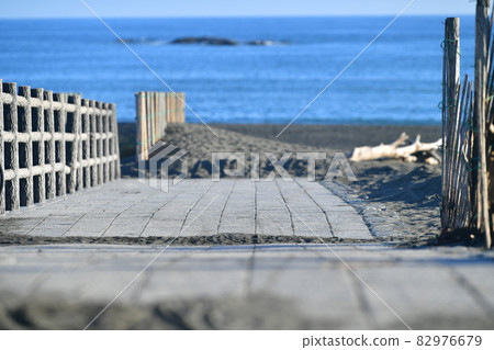 The way to the sea The way to the sea 82976679