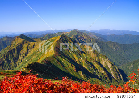 Autumn mountain ridge / Tanigawa mountain range main ridge line (Tanigawadake) 82977554