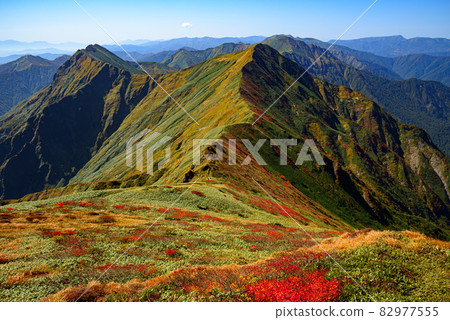 秋天的山脈、谷川山脈主脊線(Tanigawadake) 82977555