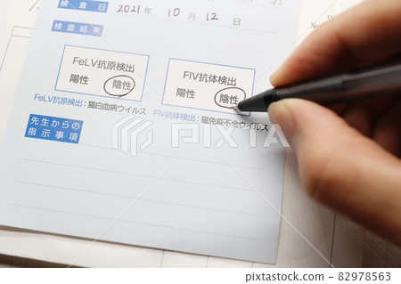 FeLV/FIV 病毒檢測 貓病相關文件 FeLV/FIV 病毒檢測 貓病相關文件 82978563