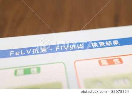 FeLV/FIV 病毒檢測 貓病相關文件 82978564