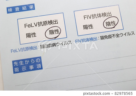 Documents related to FeLV / FIV virus test Cat illness 82978565