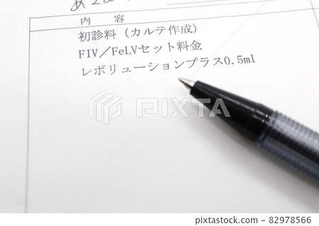 FeLV/FIV 病毒檢測 貓病相關文件 82978566