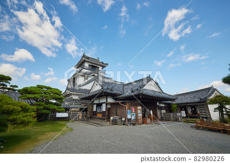 [Kochi Prefecture] The castle tower of Kochi Castle 82980226