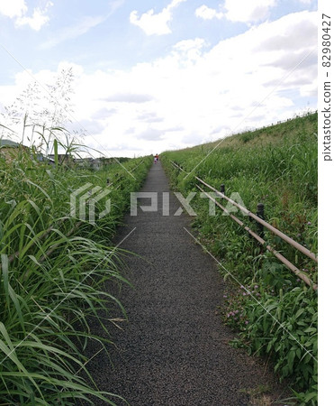 Brother and sister walking on the grass road 82980427
