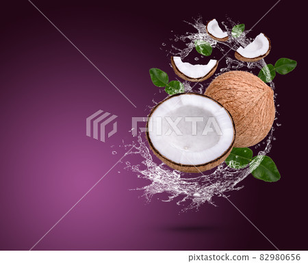 Water splash on coconut with bergamot leaves isolated on purple background Water splash on coconut with bergamot leaves isolated on purple background 82980656