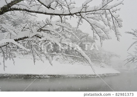 彥根城大手門橋附近的雪景 彥根城大手門橋附近的雪景 82981373
