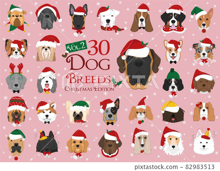 Set of 30 dog breeds with Christmas and winter themes. Set 2 Set of 30 dog breeds with Christmas and winter themes. Set 2 82983513