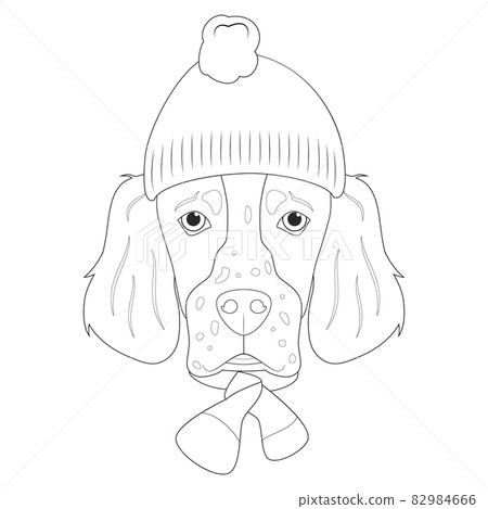 Christmas greeting card for coloring. English Setter dog wearing a woolen cap and a woolen scarf for winter 82984666