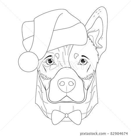 Christmas greeting card for coloring. Australian Cattle dog with Santa's hat and bow tie Christmas greeting card for coloring. Australian Cattle dog with Santa's hat and bow tie 82984674