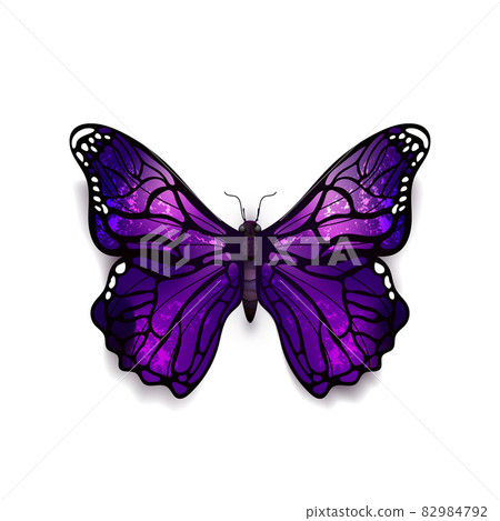 Beautiful deep purple detailed realistic magic butterfly on white Beautiful deep purple detailed realistic magic butterfly on white 82984792