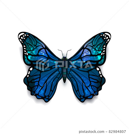 Beautiful blue detailed realistic butterfly on white 82984807