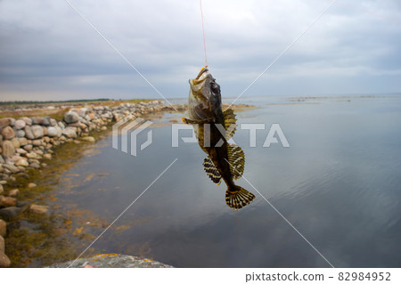 sea fishing the Arctic circle 82984952