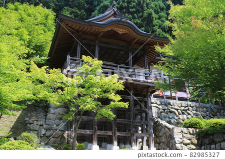 Chogenji 8 Chogenji 8 82985327