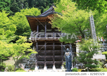 Chogenji 10 82985329