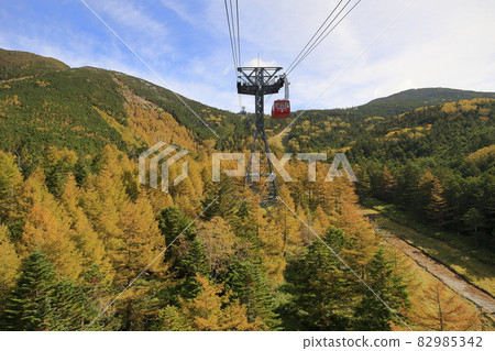 盛開的北八岳索道和坪岩 82985342