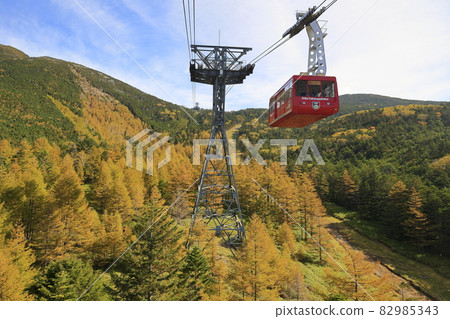 盛開的北八岳索道和坪岩 82985343