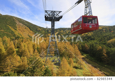 盛開的北八岳索道和坪岩 盛開的北八岳索道和坪岩 82985344