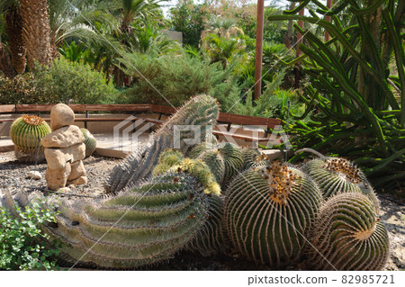 The Botanical Garden at Kibbutz Ein Gedi The Botanical Garden at Kibbutz Ein Gedi 82985721