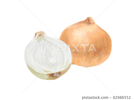 水彩洋蔥 水彩洋蔥 82986552