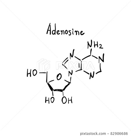 Adenosin Molecule Formula Hand Drawn Imitation Adenosin Molecule Formula Hand Drawn Imitation 82986686