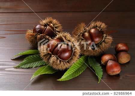 I want to put leaves on the board, but chestnuts I want to put leaves on the board, but chestnuts 82986964