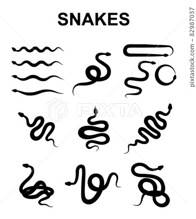 Snake Vector Icon, Viper Symbol, Serpent Sign Snake Vector Icon, Viper Symbol, Serpent Sign 82987037