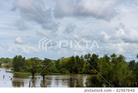 In the monsoon season floods occur in agricultural areas field In the monsoon season floods occur in agricultural areas field 82987648