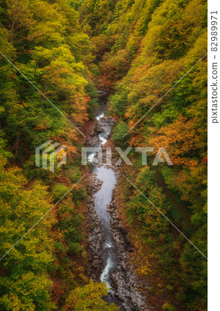 Fukushima Prefecture Nakatsugawa Valley Autumn Leaves Fukushima Prefecture Nakatsugawa Valley Autumn Leaves 82989971