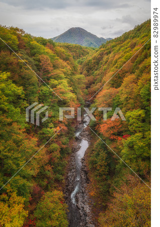 Fukushima Prefecture Nakatsugawa Valley Autumn Leaves Fukushima Prefecture Nakatsugawa Valley Autumn Leaves 82989974