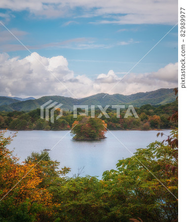 福島縣小野川湖小島上的秋天 福島縣小野川湖小島上的秋天 82989977