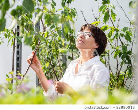 Woman chooses plants and trees for landscaping. Outdoor shelves with seedlings, flowering plants and seeds in flower shop. Open air agronomic market. Woman chooses plants and trees for landscaping. Outdoor shelves with seedlings, flowering plants and seeds in flower shop. Open air agronomic market. 82990018