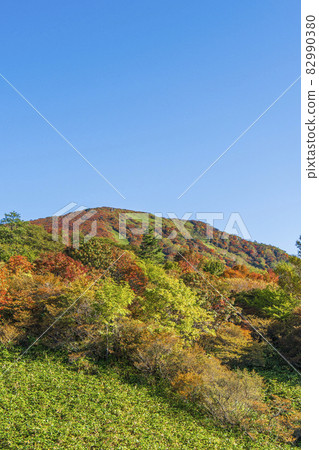 那須鬼山的紅葉[櫪木縣那須鹽原市] 82990380
