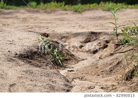 A sandy road that is being eroded by water A sandy road that is being eroded by water 82990813