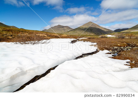 Cold summer in the Arctic Cold summer in the Arctic 82990834