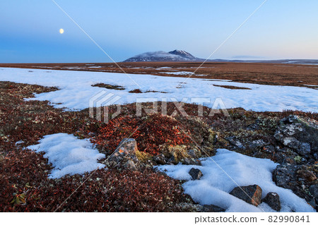 Scenic landscape with tundra, lonely mountain and moon. 82990841