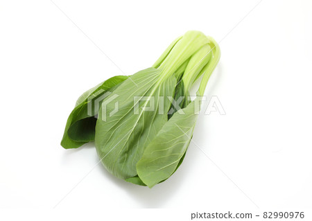 白菜 82990976