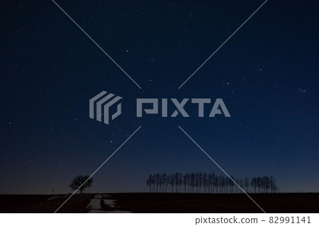 融化的山丘和冬季樹木Mikamachi 82991141