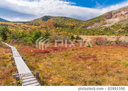 (Fukushima Prefecture) Jododaira Marsh with beautiful autumn leaves (Fukushima Prefecture) Jododaira Marsh with beautiful autumn leaves 82991398