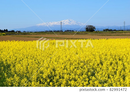 Chokaiyama（富士德瓦） 82991472