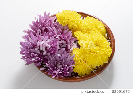 edible chrysanthemum edible chrysanthemum 82991673