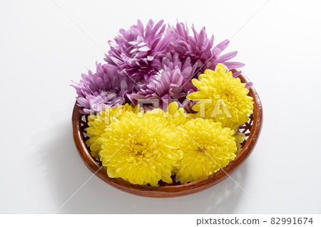 edible chrysanthemum edible chrysanthemum 82991674