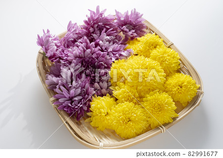 食用菊花 食用菊花 82991677