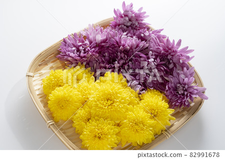 食用菊花 食用菊花 82991678